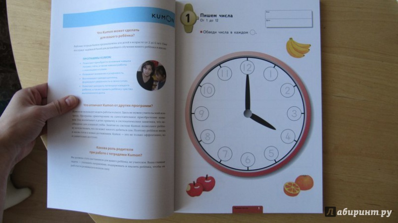 Иллюстрация 47 из 90 для Учимся определять время. Час и полчаса | Лабиринт - книги. Источник: Данилова  Мария Александровна