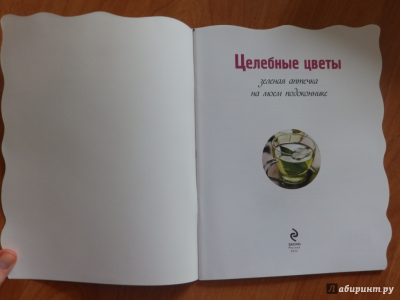 Иллюстрация 2 из 15 для Зеленая аптека на моем подоконнике - М. Васильев | Лабиринт - книги. Источник: товарищ маузер