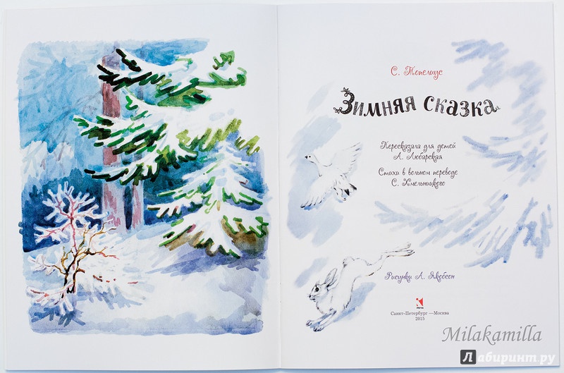 Иллюстрация 25 из 37 для Зимняя сказка - Сакариас Топелиус | Лабиринт - книги. Источник: Букландия