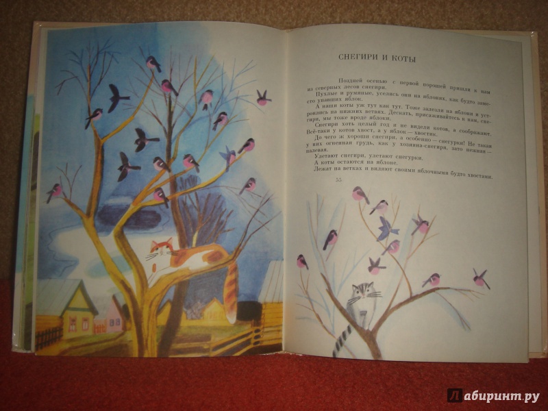 Иллюстрация 8 из 33 для Воробьиное озеро - Юрий Коваль | Лабиринт - книги. Источник: kuvarstvo