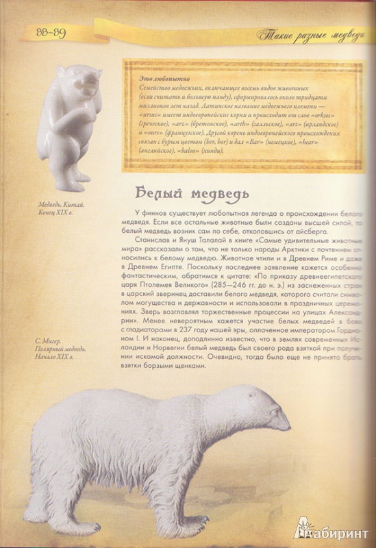 Иллюстрация 6 из 31 для Животные в мифологии - Андрей Гапченко | Лабиринт - книги. Источник: Ёжик