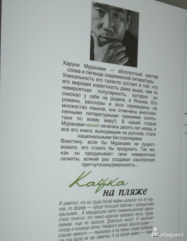 Иллюстрация 3 из 18 для Кафка на пляже - Харуки Мураками | Лабиринт - книги. Источник: Леонид Сергеев