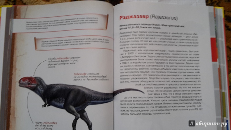 Иллюстрация 14 из 17 для Большой иллюстрированный атлас динозавров - Руслан Габдуллин | Лабиринт - книги. Источник: Захарова Анна