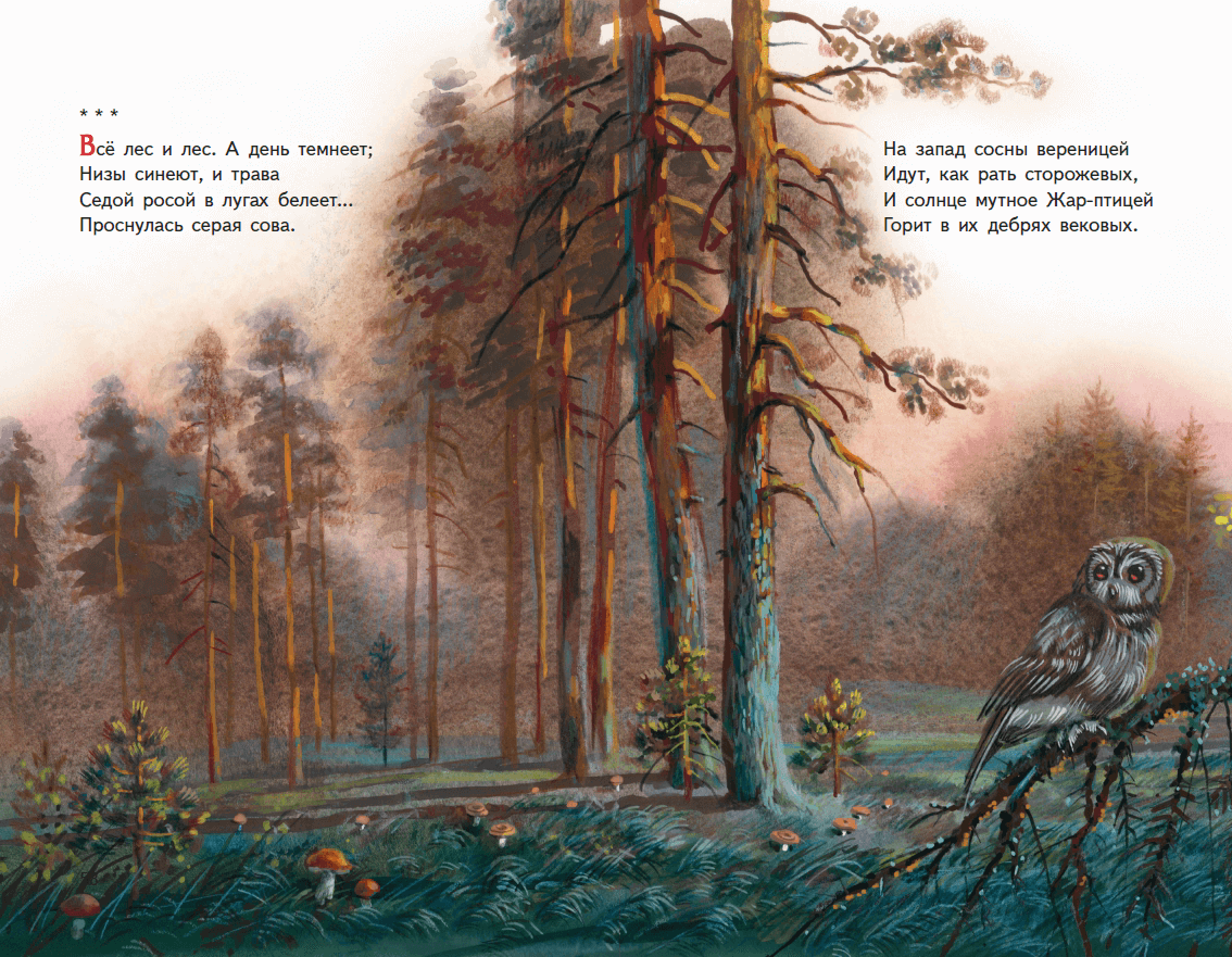 Поэзия о лесе. Красивые стихи о природе. Произведения поэта о природе. Иллюстрация к стихотворению.