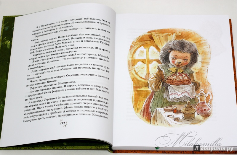 Иллюстрация 71 из 224 для Серёжик - Елена Ракитина | Лабиринт - книги. Источник: Букландия