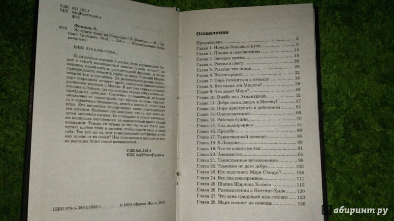 Иллюстрация 9 из 28 для Не ждите чудес на Рождество - Ольга Фомина | Лабиринт - книги. Источник: ANGELIKA