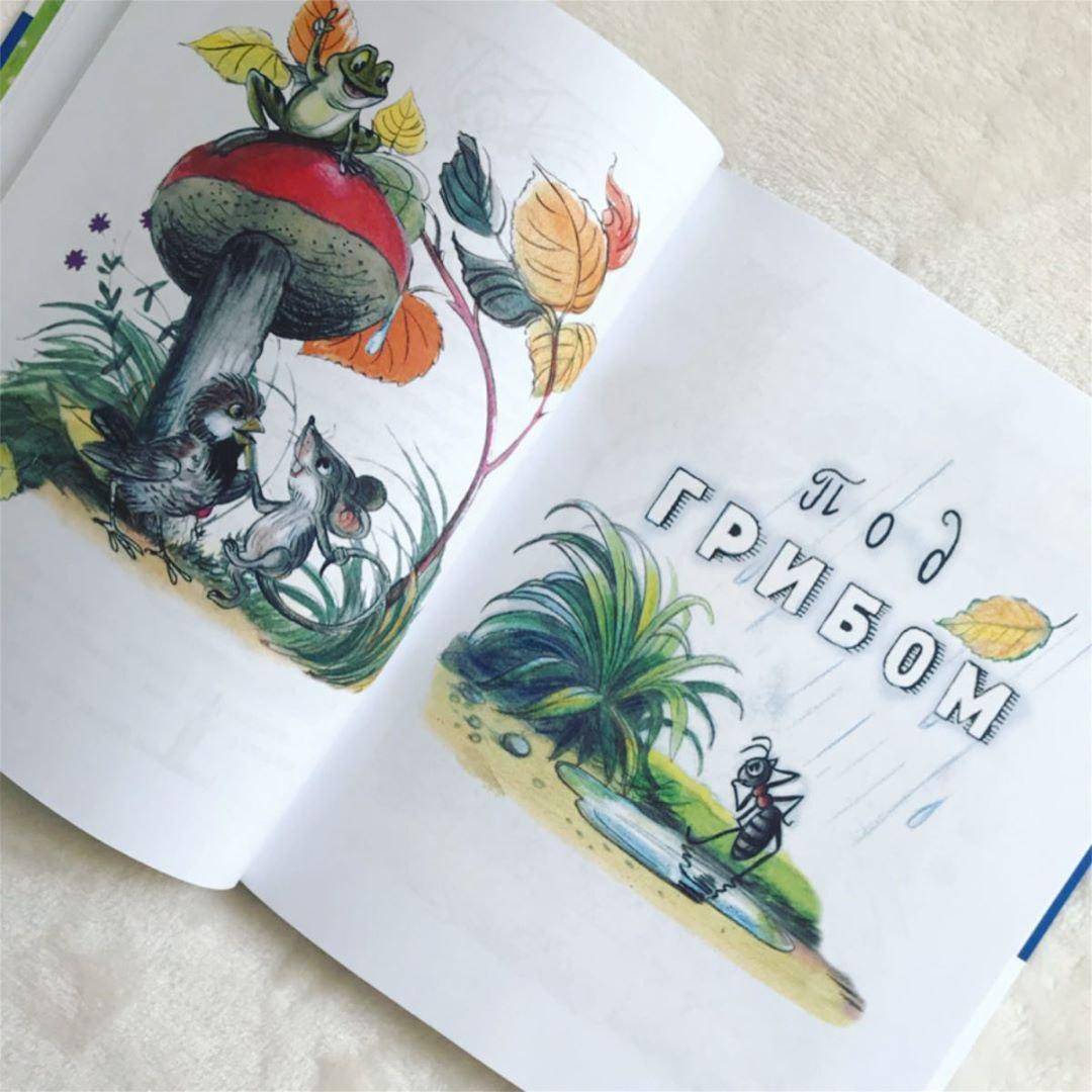 Иллюстрация 121 из 165 для Сказки и картинки - Владимир Сутеев | Лабиринт - книги. Источник: Отзывы читателей