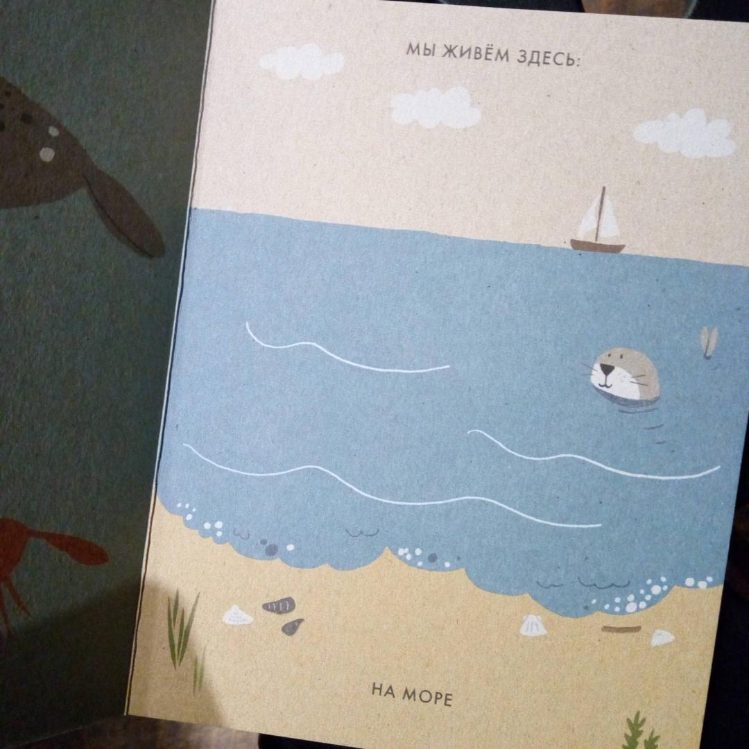 Иллюстрация 35 из 45 для Моё маленькое море - Катрин Виле | Лабиринт - книги. Источник: bookchik