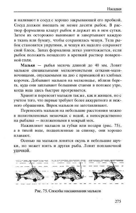 Иллюстрация 12 из 15 для Охота и рыбалка - А. Васильев | Лабиринт - книги. Источник: Рыженький