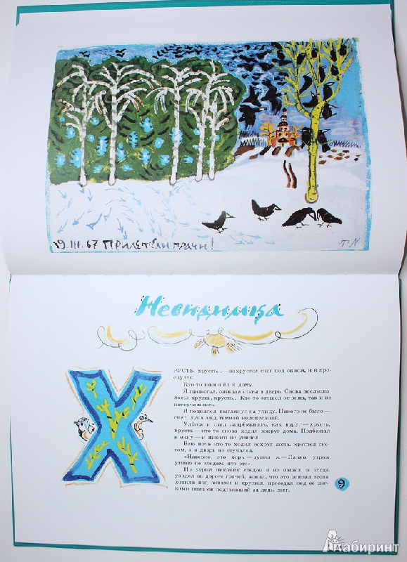 Иллюстрация 6 из 64 для Стеклянный пруд - Юрий Коваль | Лабиринт - книги. Источник: Букландия