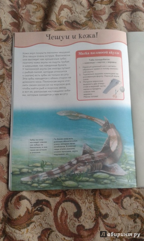 Иллюстрация 14 из 28 для Акулы | Лабиринт - книги. Источник: Соколенко  Света