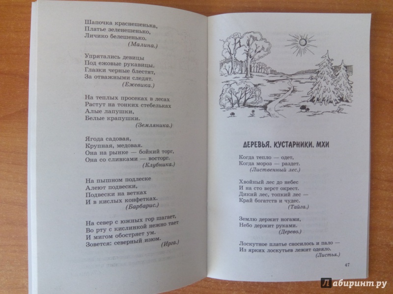 Иллюстрация 4 из 10 для 500 загадок в стихах для детей - Евгений Адарич | Лабиринт - книги. Источник: Лабиринт