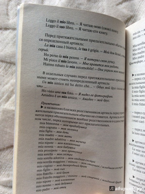Иллюстрация 29 из 43 для Итальянская грамматика для начинающих - Сергей Матвеев | Лабиринт - книги. Источник: verwirrend