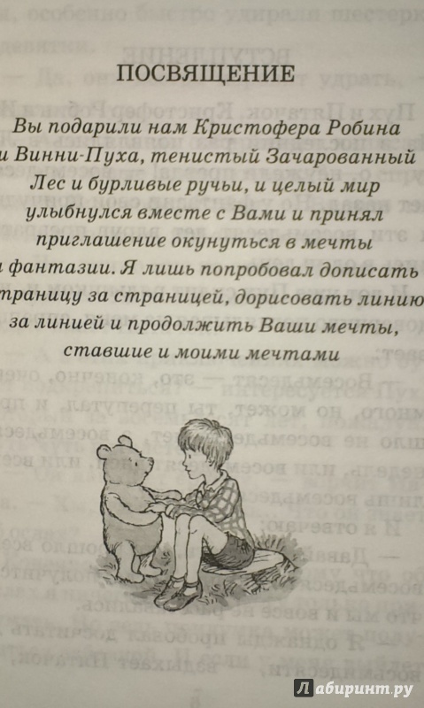 Иллюстрация 6 из 27 для Новые истории про Винни-Пуха. Возвращение в зачарованный лес - Дэвид Бенедиктус | Лабиринт - книги. Источник: Nota B