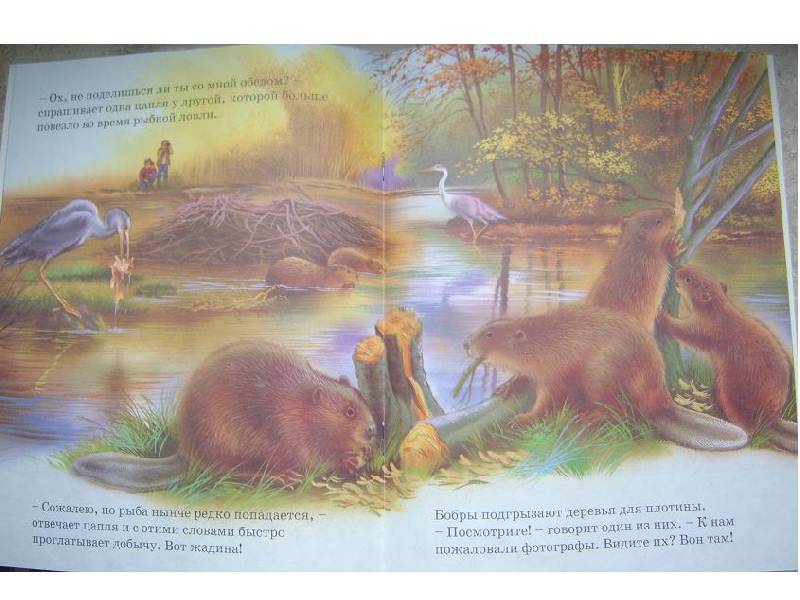 Иллюстрация 1 из 2 для Истории голубой речки | Лабиринт - книги. Источник: мама малыша