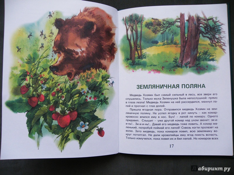 Иллюстрация 6 из 31 для Сказки Чудо-дерева - Валерий Кастрючин | Лабиринт - книги. Источник: Шутова  Маргарита