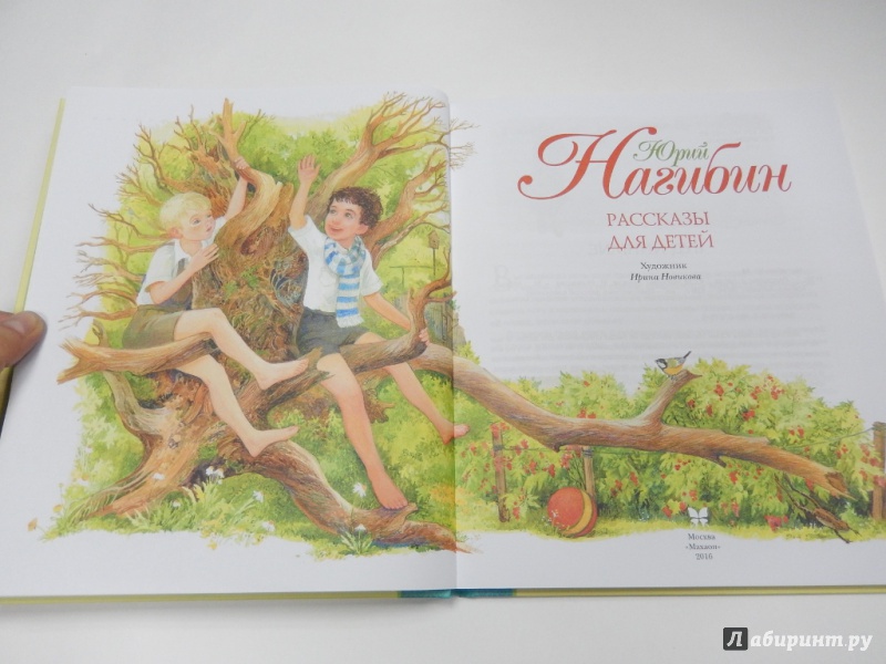 Иллюстрация 3 из 38 для Рассказы для детей - Юрий Нагибин | Лабиринт - книги. Источник: dbyyb