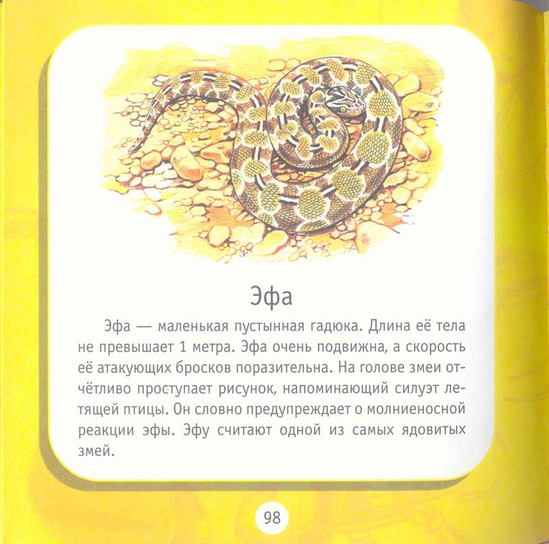 Иллюстрация 10 из 11 для Удивительные животные - Александр Тихонов | Лабиринт - книги. Источник: Бетельгейзе