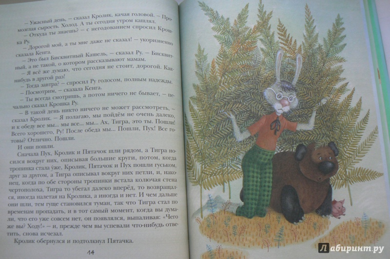 Иллюстрация 24 из 61 для Винни-Пух и Зачарованный лес - Милн, Заходер | Лабиринт - книги. Источник: Марина