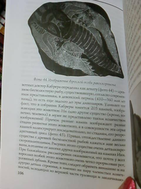 Иллюстрация 6 из 8 для Камни Ики. Послание невозможной цивилизации - Андрей Жуков | Лабиринт - книги. Источник: lettrice