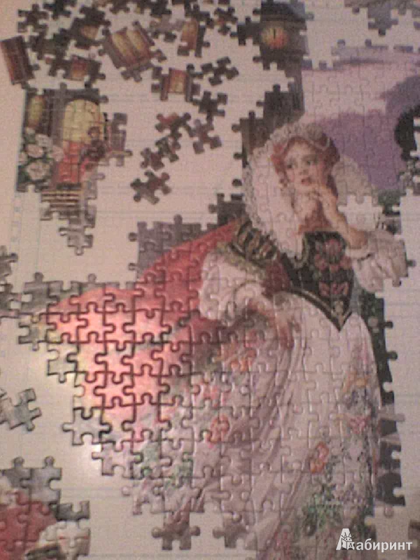 Иллюстрация 5 из 14 для Puzzle, 500 элементов, "Золушка" (B-51755) | Лабиринт - игрушки. Источник: Роза с шипами