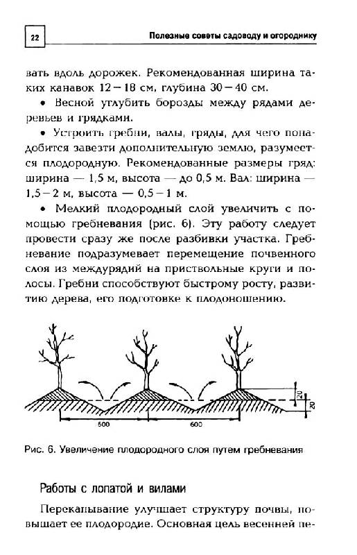 Иллюстрация 7 из 15 для Полезные советы садоводу и огороднику - Надежда Зимина | Лабиринт - книги. Источник: Юта