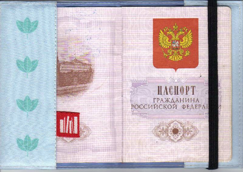 Иллюстрация 2 из 2 для Обложка для паспорта (Ps 1.117) | Лабиринт - канцтовы. Источник: Скляренко  Юлия