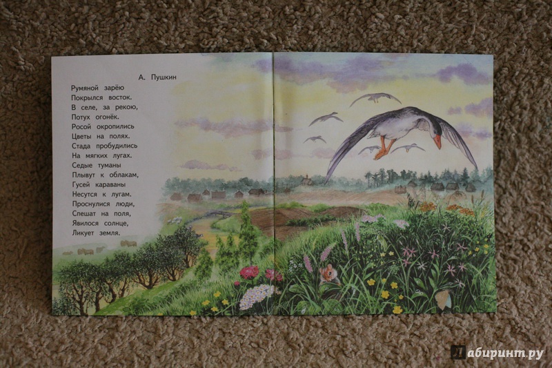 Иллюстрация 14 из 28 для Бабушкино лето | Лабиринт - книги. Источник: дважды