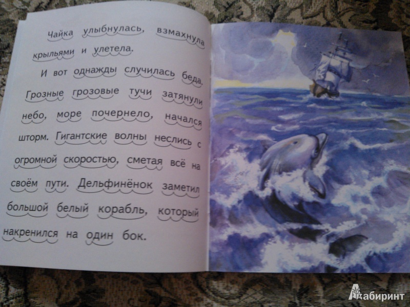 Иллюстрация 9 из 17 для Дельфинёнок и чайка - Елена Ермолова | Лабиринт - книги. Источник: Вероника Руднева