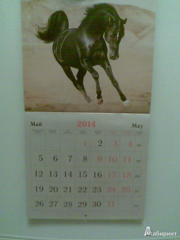 Иллюстрация 5 из 9 для Календарь 2014 "Символ года. Прекрасные лошади" (КС121401) | Лабиринт - сувениры. Источник: Tanajkan