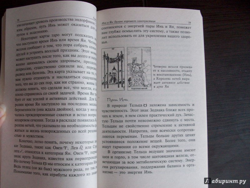 Иллюстрация 23 из 32 для Искусство интуиции и здоровье - Тоньетти, Флинн | Лабиринт - книги. Источник: Bookfox
