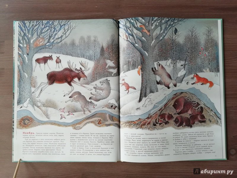 Иллюстрация 81 из 109 для В лесу - Петр Багин | Лабиринт - книги. Источник: Гошева  Елена