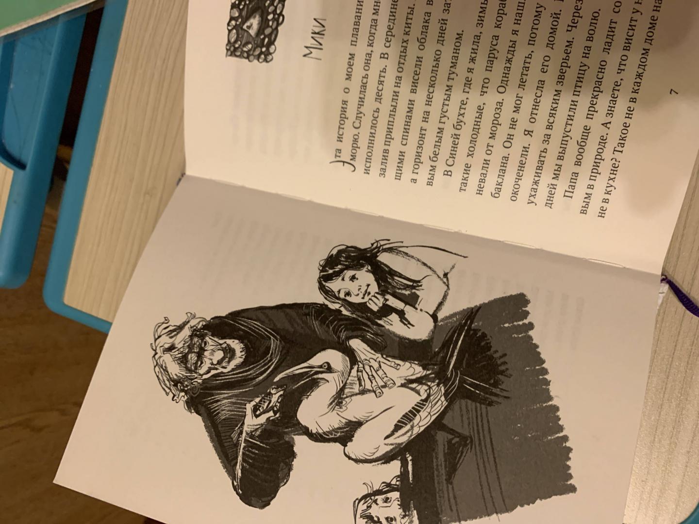 Иллюстрация 55 из 83 для Пираты Ледового моря - Фрида Нильсон | Лабиринт - книги. Источник: За  Татьяна