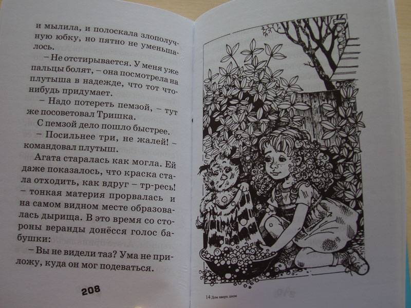 Иллюстрация 8 из 25 для Дом вверх дном - Тамара Крюкова | Лабиринт - книги. Источник: Skromnost'