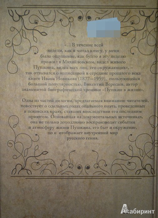 Иллюстрация 8 из 8 для Пушкин в изгнании - Иван Новиков | Лабиринт - книги. Источник: Леонид Сергеев