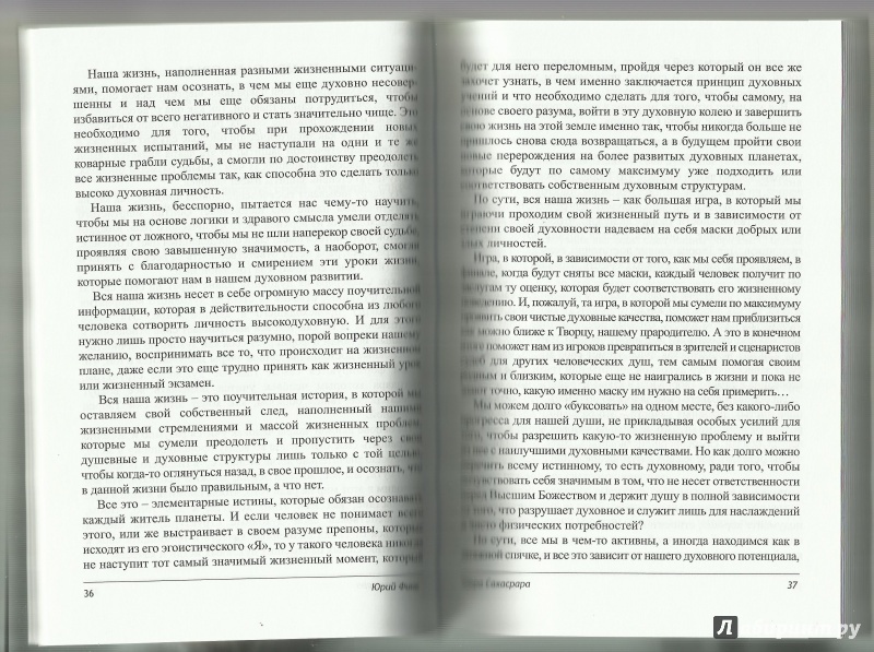 Иллюстрация 7 из 8 для Новые духовные заповеди. Диагностика кармы. Диагностика чакр - Юрий Финк | Лабиринт - книги. Источник: Юлия
