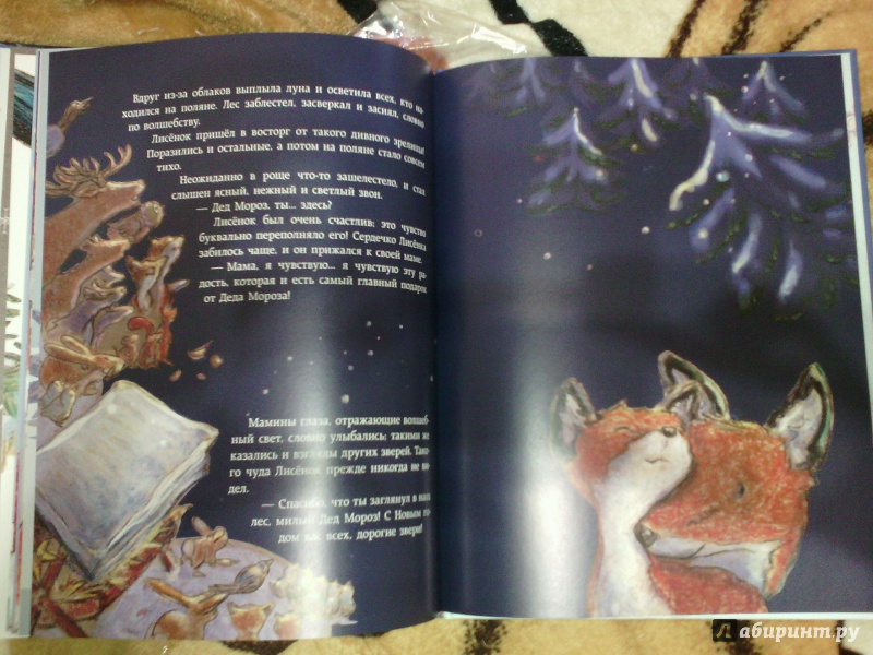 Иллюстрация 31 из 33 для Как Лисёнок встречал Новый год - Ульрике Мотшиуниг | Лабиринт - книги. Источник: Кутуева Вера