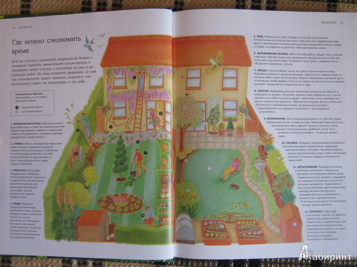 Иллюстрация 28 из 30 для Дивный сад без лишних хлопот | Лабиринт - книги. Источник: Лапшин  Сергей Игоревич