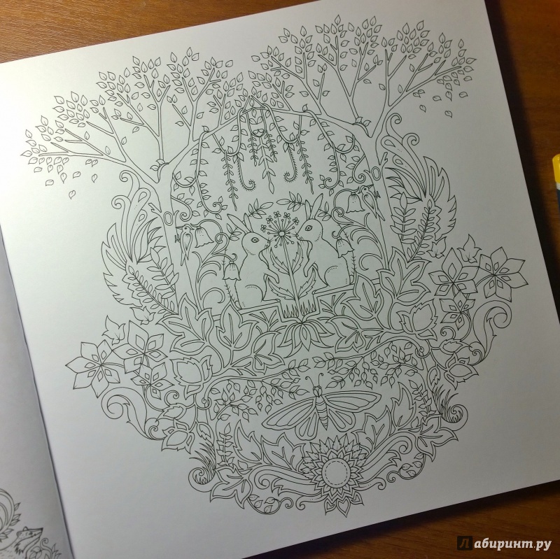 Иллюстрация 64 из 68 для Зачарованный лес - Джоанна Бэсфорд | Лабиринт - книги. Источник: Athera