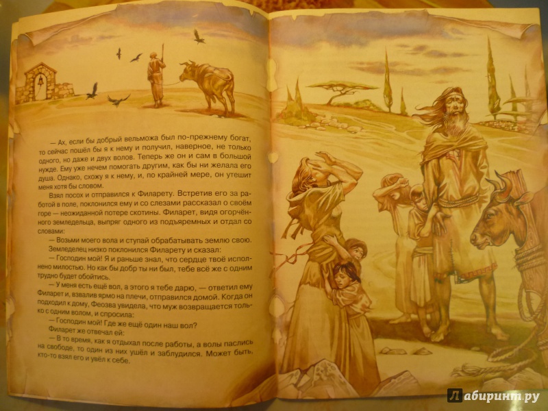 Иллюстрация 3 из 14 для Тайное сокровище | Лабиринт - книги. Источник: SofiiKa