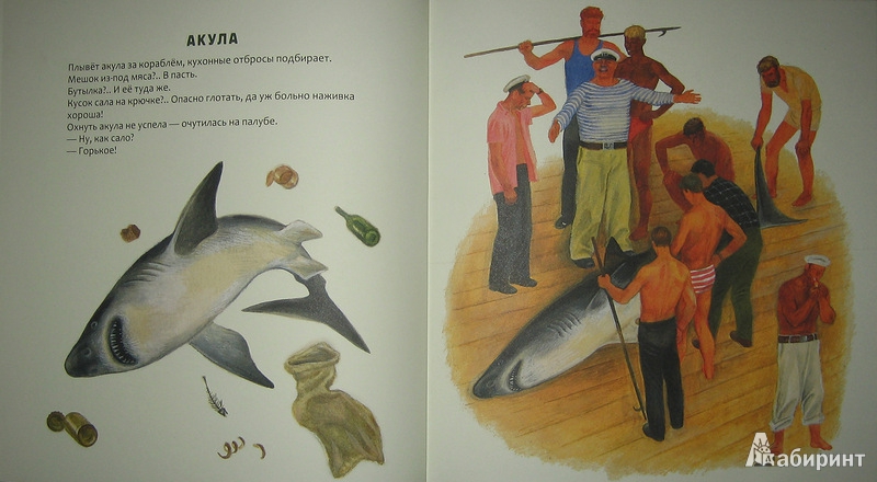 Иллюстрация 21 из 61 для Кто в море живет - Святослав Сахарнов | Лабиринт - книги. Источник: Трухина Ирина