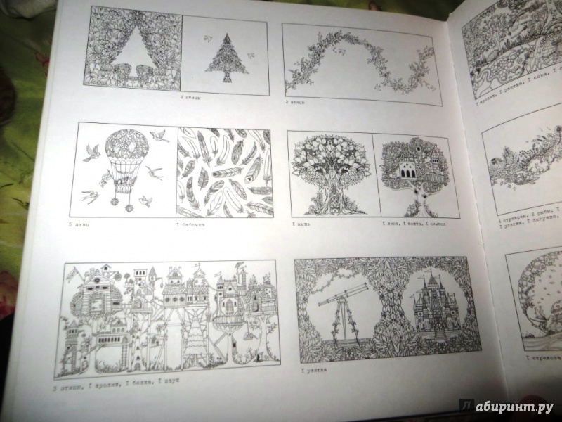 Иллюстрация 36 из 199 для Зачарованный лес. Книга для творчества и вдохновения - Джоанна Бэсфорд | Лабиринт - книги. Источник: Ko-ren