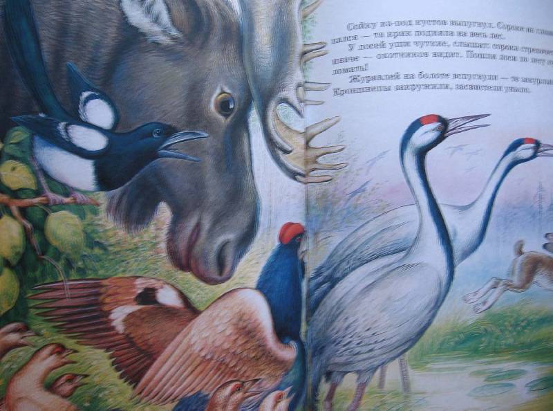 Иллюстрация 72 из 87 для Сказки о родной природе - Бианки, Сладков, Шим | Лабиринт - книги. Источник: Зайчик