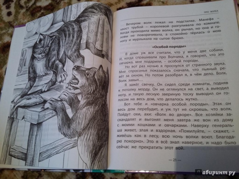 Иллюстрация 11 из 49 для Разиня и другие рассказы - Борис Житков | Лабиринт - книги. Источник: З.  Татьяна
