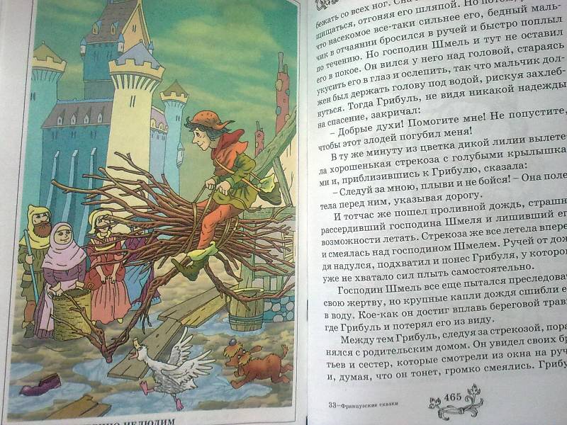 Иллюстрация 14 из 17 для Французские сказки | Лабиринт - книги. Источник: foxi-lisenok