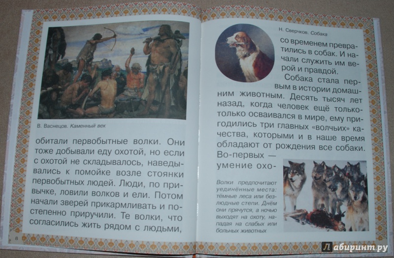 Иллюстрация 5 из 29 для Каникулы и будни собаки - Наталия Ермильченко | Лабиринт - книги. Источник: Книжный кот