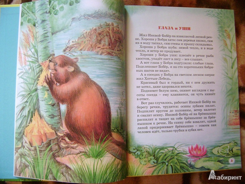 Иллюстрация 2 из 41 для Большая книга сказок - Виталий Бианки | Лабиринт - книги. Источник: Воронина  Елена