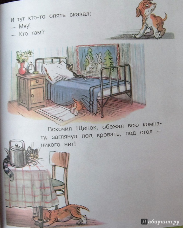 Иллюстрация 19 из 29 для Загадочные истории - Владимир Сутеев | Лабиринт - книги. Источник: Соловьев  Владимир