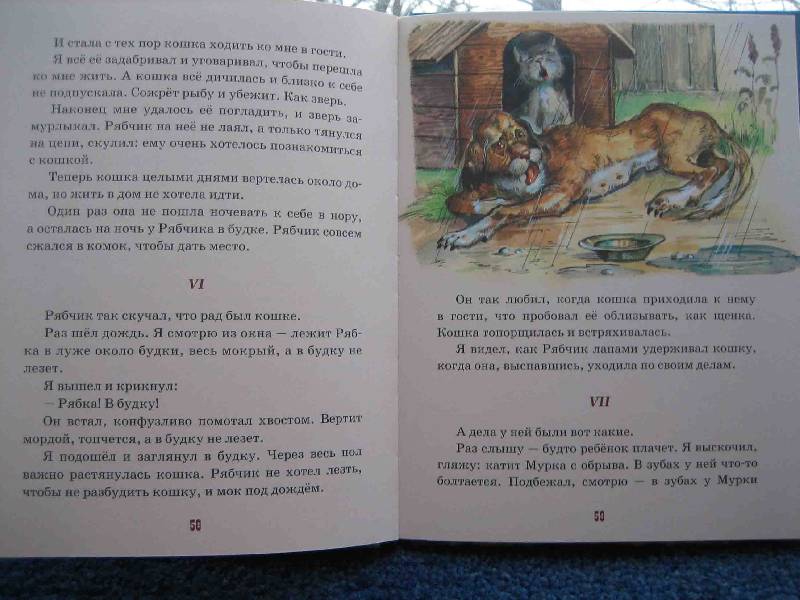 Иллюстрация 11 из 19 для Рассказы о животных - Борис Житков | Лабиринт - книги. Источник: Трухина Ирина