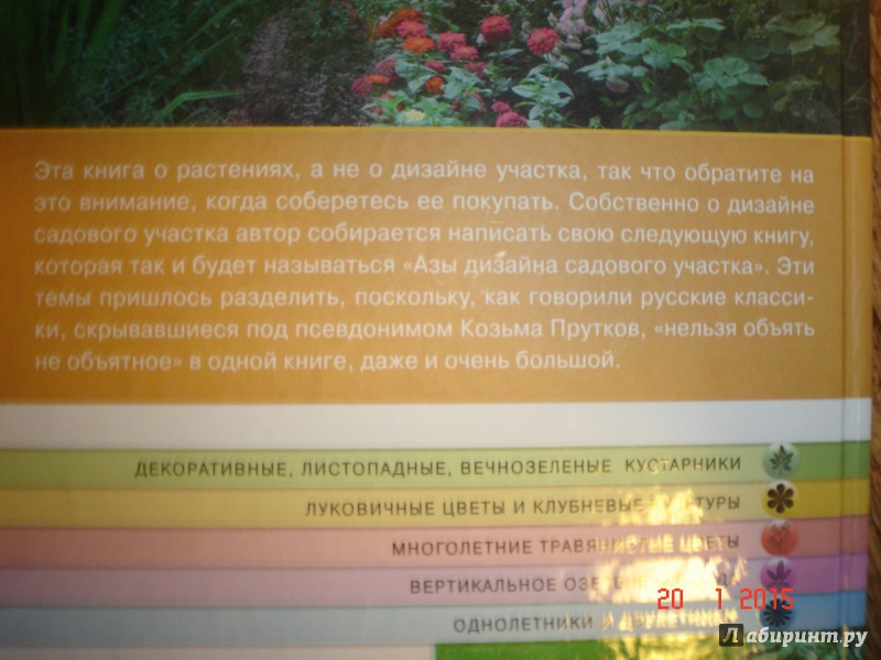 Иллюстрация 21 из 37 для Миллион растений для вашего сада - Галина Кизима | Лабиринт - книги. Источник: Дева НТ